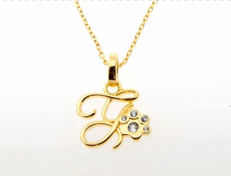 Maya hot sale initial necklace